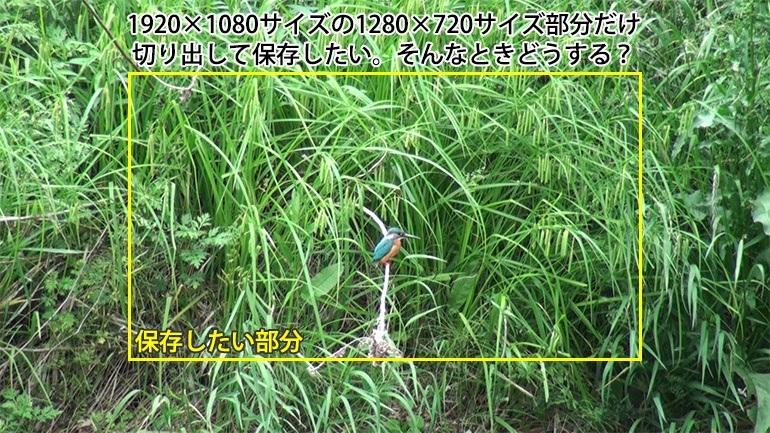 premiereとphotoshopのトリミングは違う